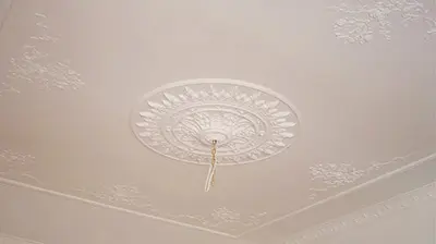 Ceiling clearance rose silver